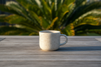 Timber and Tropics Mug